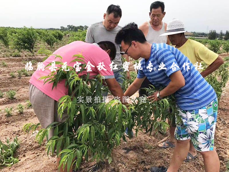 2016年夏季技术指导